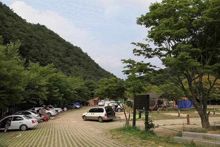 덕동자동차야영장 캠핑장 · GoCamping 제공