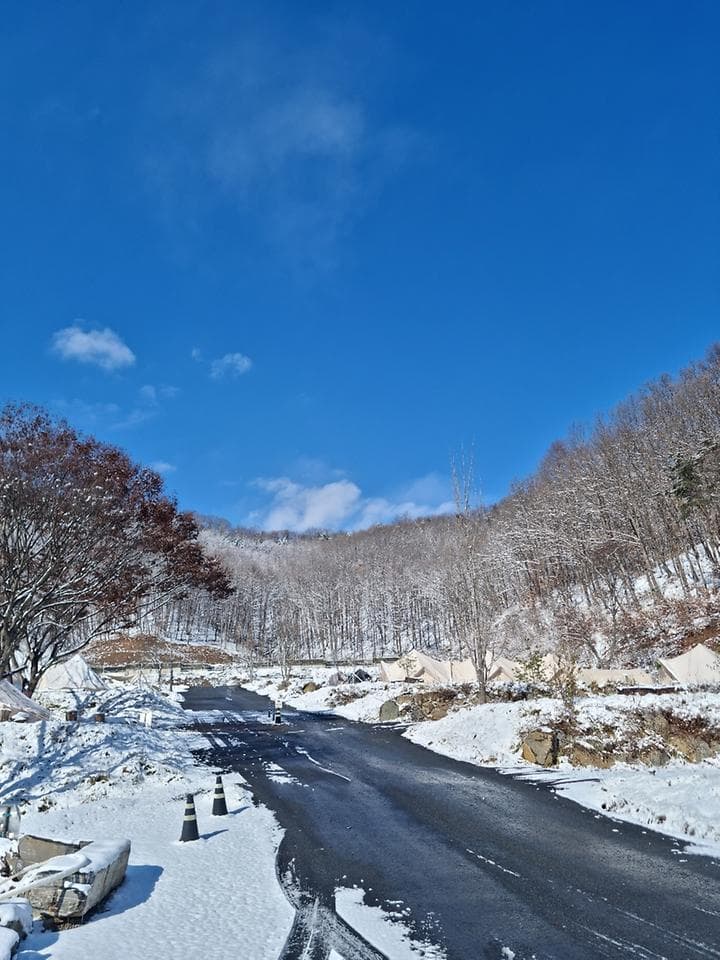 더 빌리지 캠핑장 · GoCamping 제공