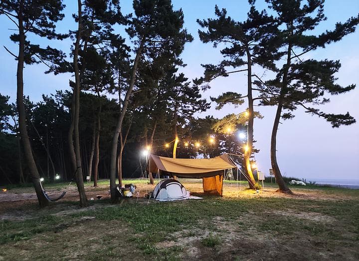 태안노을숲캠핑장 캠핑장 · GoCamping 제공