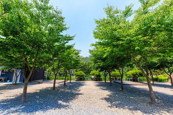 밀양 가보자 캠핑장 캠핑장 · GoCamping 제공