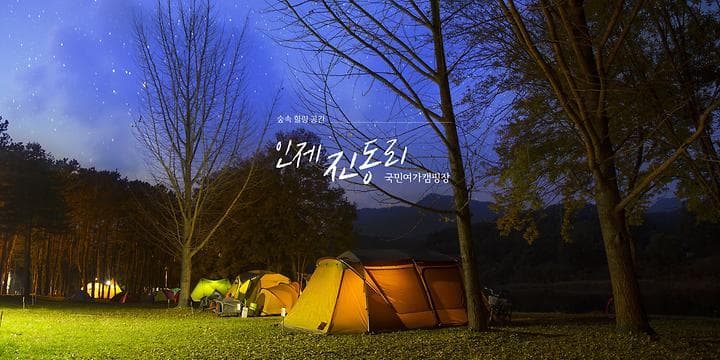 진동리 국민여가캠핑장 by zapza 캠핑장 · GoCamping 제공