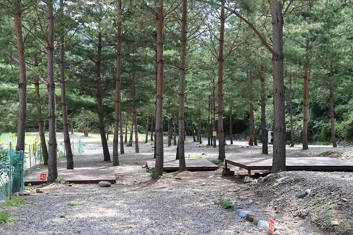 덕풍계곡 솔밭야영장 캠핑장 · GoCamping 제공