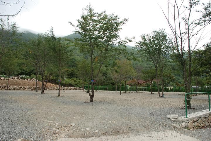 에코밸리 캠프 캠핑장 · GoCamping 제공