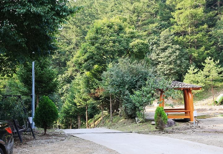 양평숲 비룡캠핑장 캠핑장 · GoCamping 제공