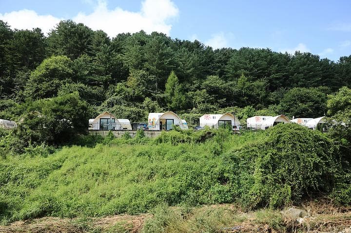 가평 네잎클로버 카라반 글램핑 캠핑장 · GoCamping 제공
