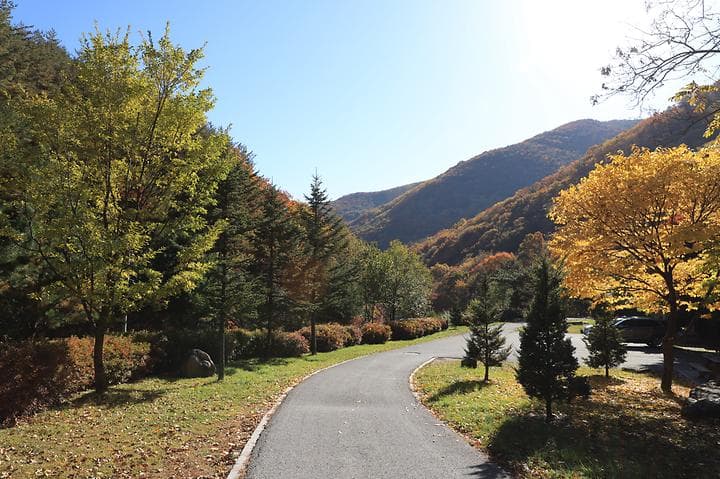 도사곡휴양림야영장 캠핑장 · GoCamping 제공