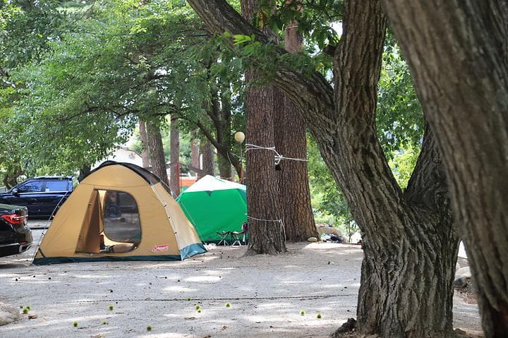 돌배야영장(제1야영장) 캠핑장 · GoCamping 제공