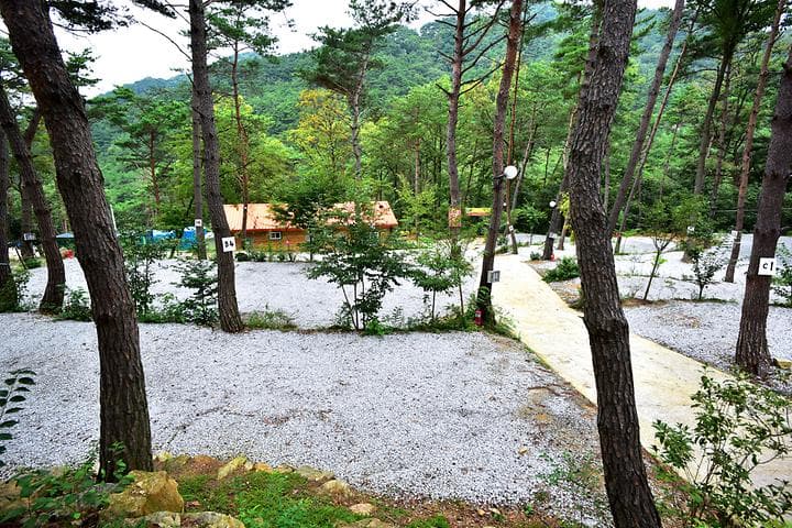 아리솔캠핑장 캠핑장 · GoCamping 제공