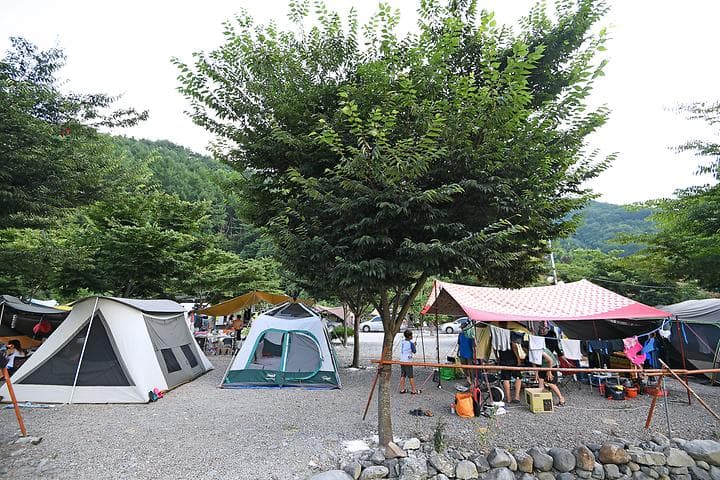 둘레길관광농원 캠핑장 · GoCamping 제공