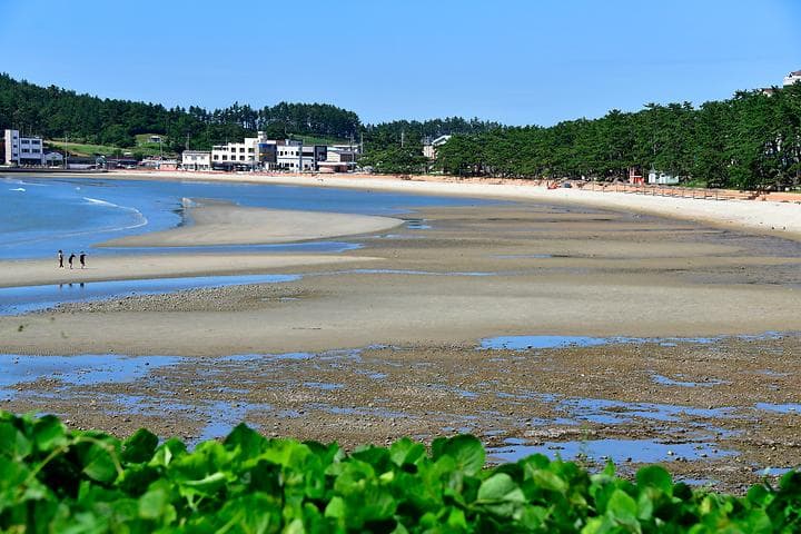 땅끝오토캠핑장 캠핑장 · GoCamping 제공