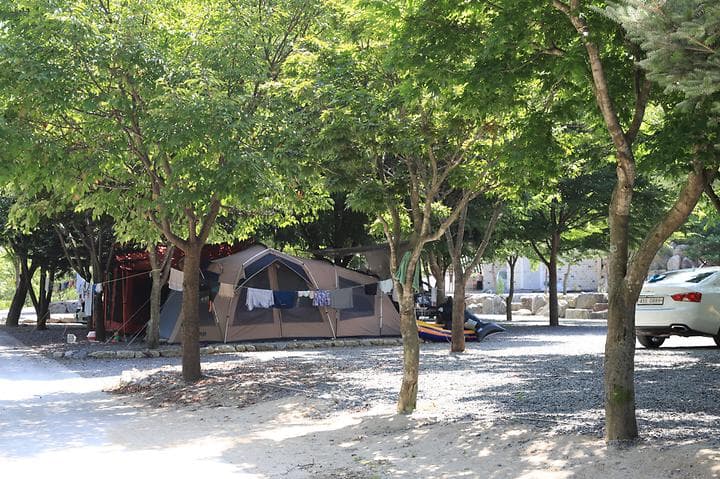 뜨란솔 캠핑장 캠핑장 · GoCamping 제공