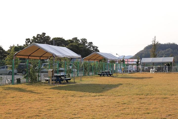 반려견호텔 랩도그빌 캠핑장 · GoCamping 제공