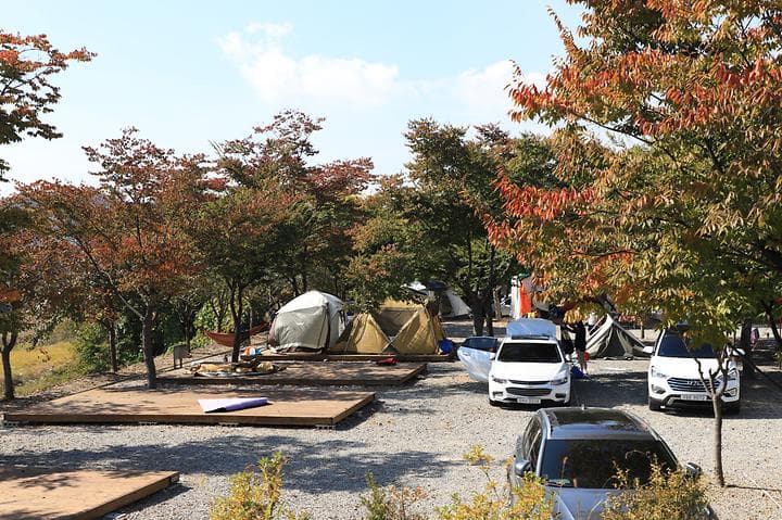 로하스캠핑 캠핑장 · GoCamping 제공