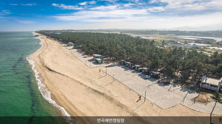 1. 강릉 연곡해변 솔향기 캠핑장 · 원문 이미지 2