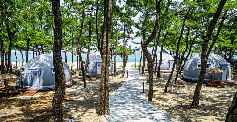1. 강릉 연곡해변 솔향기 캠핑장 · 원문 이미지 3