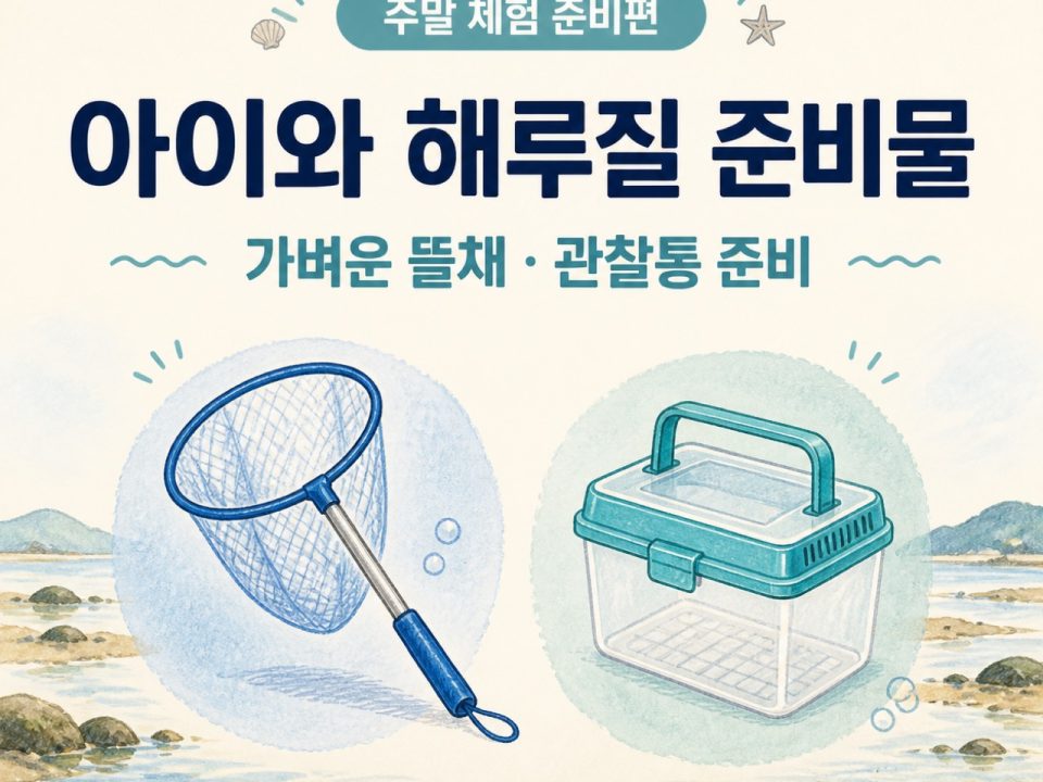 아이와 해루질 준비물｜가벼운 뜰채·바다생물 관찰통 준비했어요 · 원문 대표 이미지