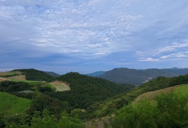 방문 당시 안반데기 산과 밭 풍경