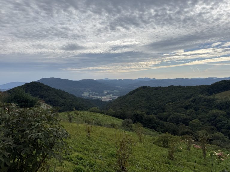 안반데기에서 바라본 아침 산 풍경